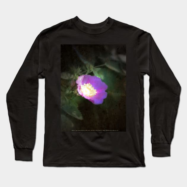 glowing old fashioned rose elegance Long Sleeve T-Shirt by DlmtleArt